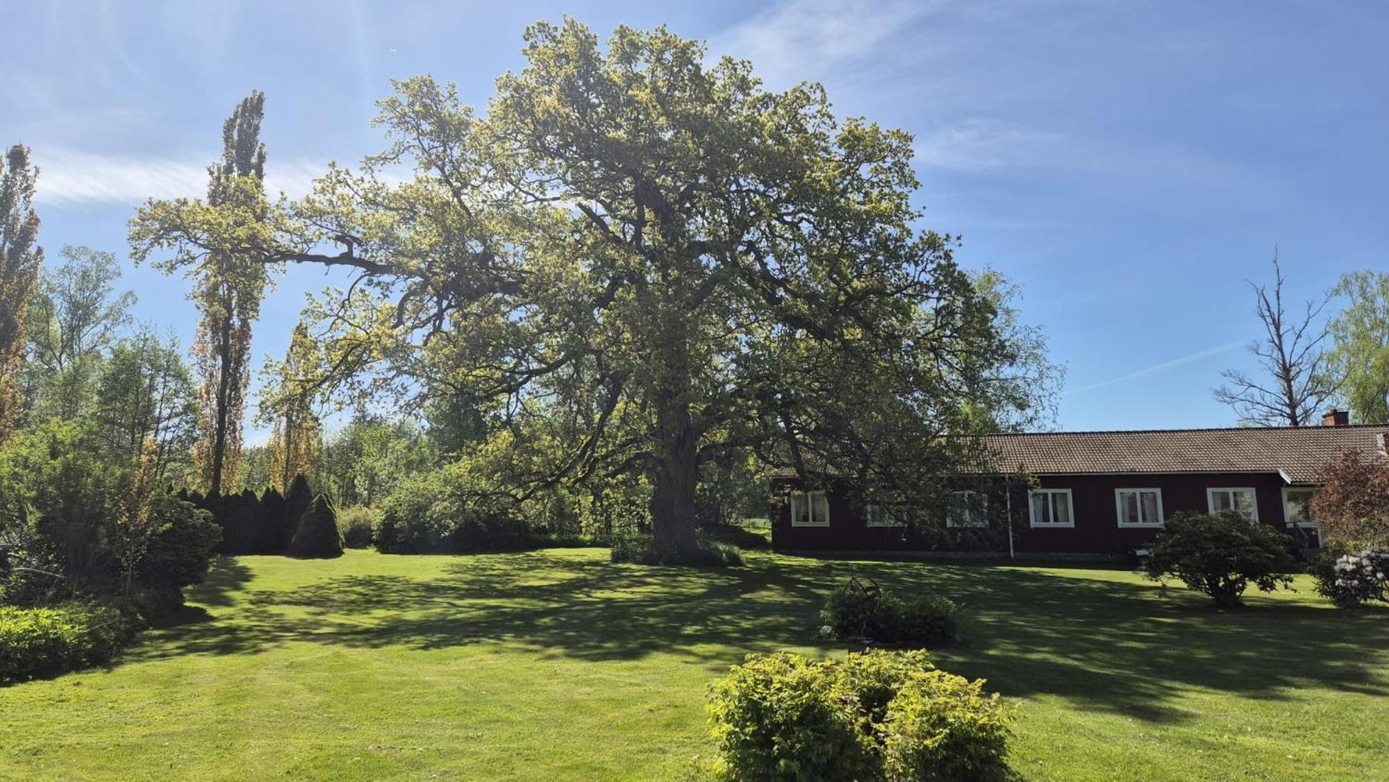 Pensionat Klavasten Skövde Exterior foto